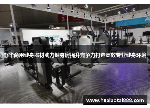 舒华商用健身器材助力健身房提升竞争力打造高效专业健身环境