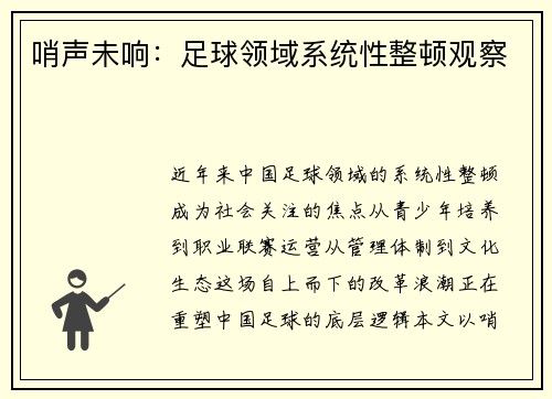 哨声未响：足球领域系统性整顿观察