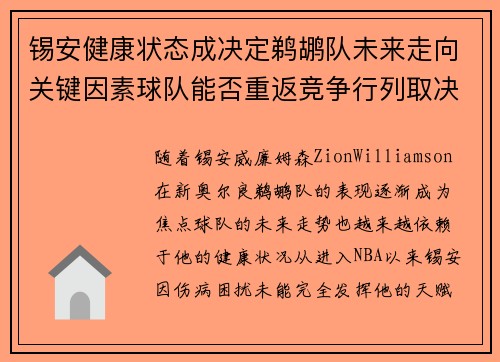 锡安健康状态成决定鹈鹕队未来走向关键因素球队能否重返竞争行列取决于此